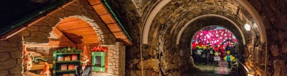 Controtendenza Banner Interno Viaggi Bus 6