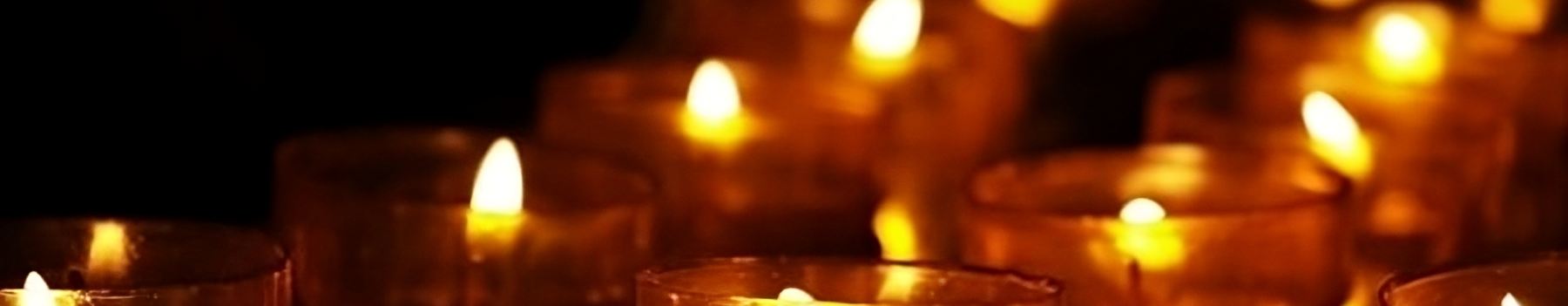 Controtendenza Banner Viaggi Bus 1