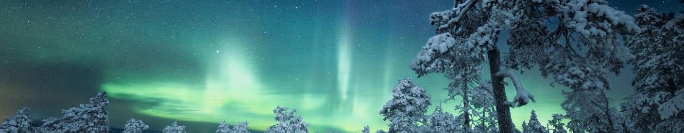 Controtendenza Banner Viaggi Bus 17