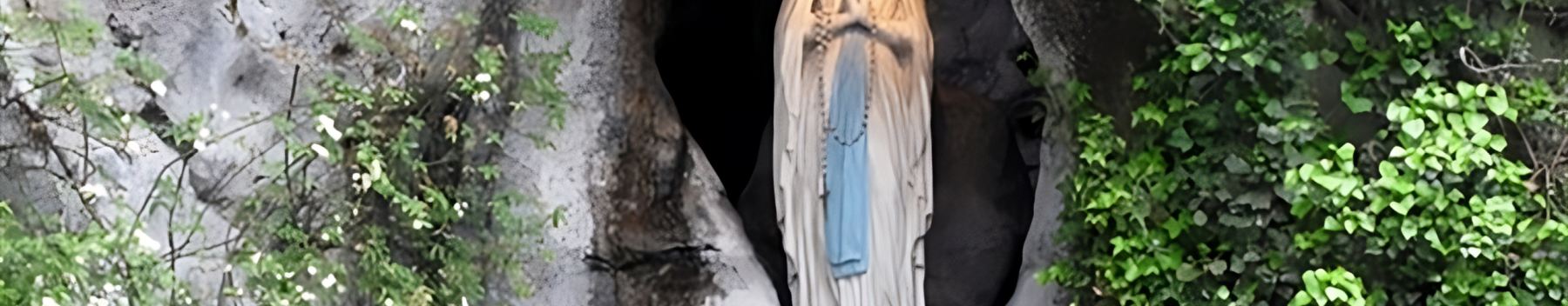 Controtendenza Banner Viaggi Bus 4