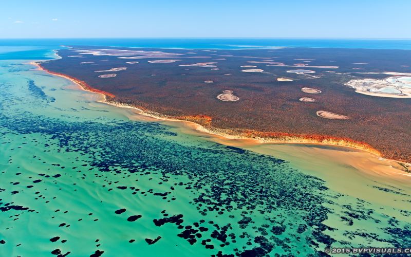 Controtendenza Viaggi 45