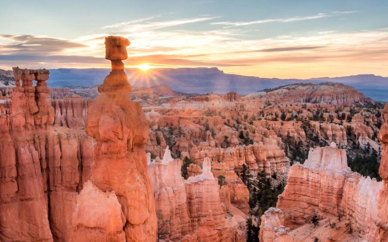 Controtendenza Viaggi 66